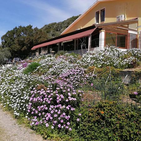 Il Lentischio Hotel Cala Sapone Ngoại thất bức ảnh